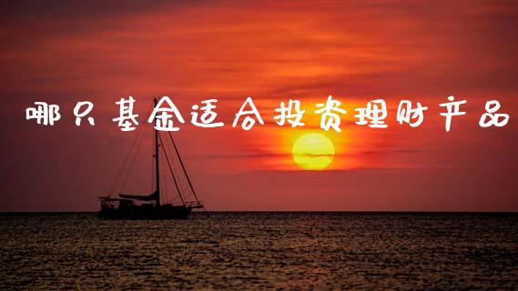哪只基金适合投资理财产品_https://www.apanben.com_国际财经_第1张