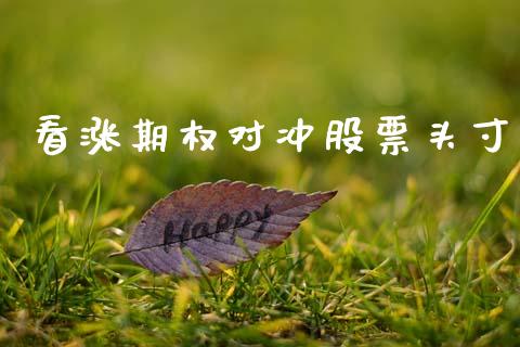 看涨期权对冲股票头寸_https://www.apanben.com_在线喊单_第1张