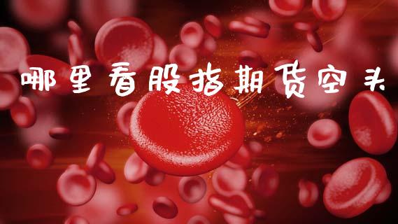 哪里看股指期货空头_https://www.apanben.com_国际期货_第1张