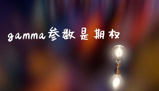 gamma参数是期权_https://www.apanben.com_国际财经_第1张