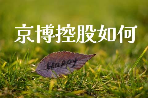 京博控股如何_https://www.apanben.com_在线喊单_第1张