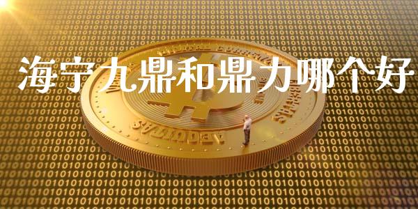 海宁九鼎和鼎力哪个好_https://www.apanben.com_股市分析_第1张