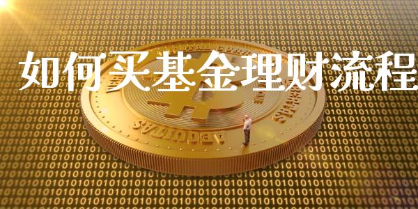 如何买基金理财流程_https://www.apanben.com_股市分析_第1张