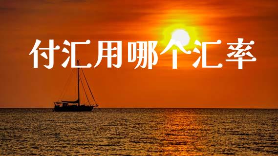 付汇用哪个汇率_https://www.apanben.com_股市分析_第1张