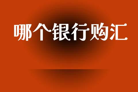 哪个银行购汇_https://www.apanben.com_期货学院_第1张