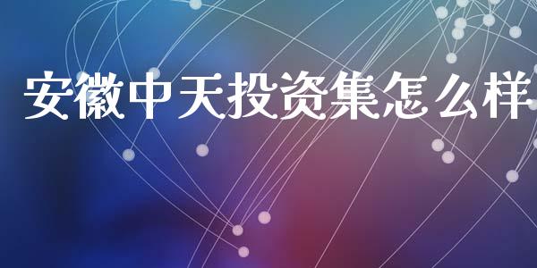 安徽中天投资集怎么样_https://www.apanben.com_财经资讯_第1张