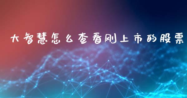 大智慧怎么查看刚上市的股票_https://www.apanben.com_期货学院_第1张