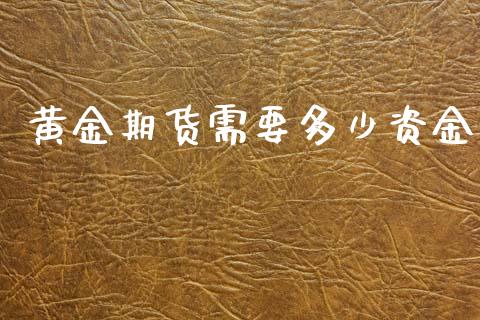 黄金期货需要多少资金_https://www.apanben.com_股市分析_第1张
