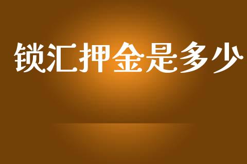 锁汇押金是多少_https://www.apanben.com_期货学院_第1张