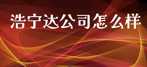 浩宁达公司怎么样_https://www.apanben.com_财经资讯_第1张