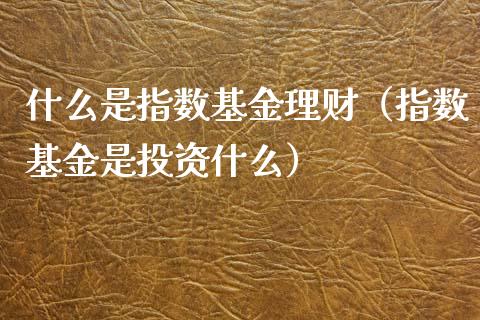 什么是指数基金理财（指数基金是投资什么）_https://www.apanben.com_财经资讯_第1张