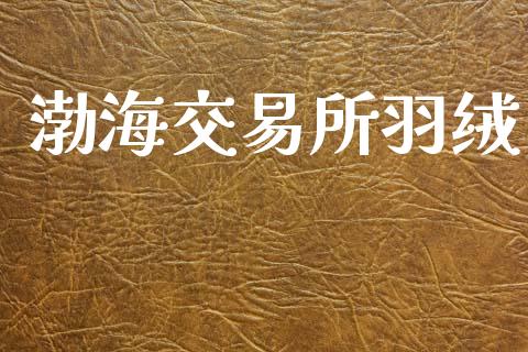 渤海交易所羽绒_https://www.apanben.com_期货学院_第1张