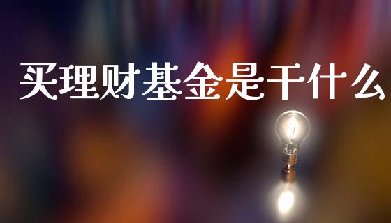 买理财基金是干什么_https://www.apanben.com_国际财经_第1张