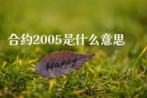 合约2005是什么意思_https://www.apanben.com_期货学院_第1张
