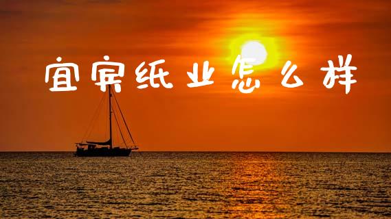 宜宾纸业怎么样_https://www.apanben.com_股市分析_第1张
