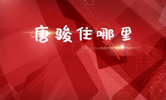 唐骏住哪里_https://www.apanben.com_财经资讯_第1张