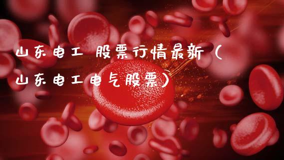 山东电工 股票行情最新（山东电工电气股票）_https://www.apanben.com_股市指导_第1张