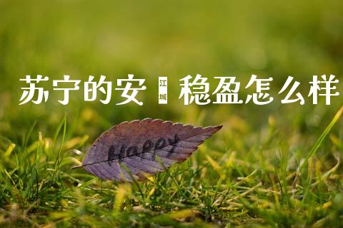 苏宁的安鑫稳盈怎么样_https://www.apanben.com_股票怎么玩_第1张