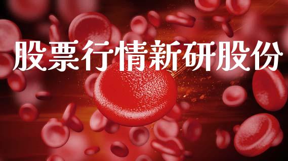 股票行情新研股份_https://www.apanben.com_股市指导_第1张