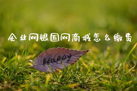 企业网银国网商城怎么缴费_https://www.apanben.com_国际期货_第1张