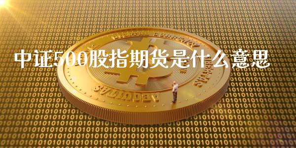 中证500股指期货是什么意思_https://www.apanben.com_期货学院_第1张