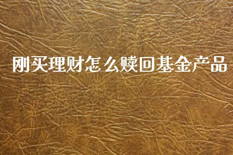 刚买理财怎么赎回基金产品_https://www.apanben.com_国际财经_第1张