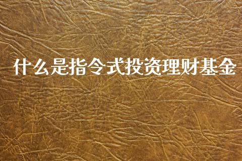 什么是指令式投资理财基金_https://www.apanben.com_国际财经_第1张