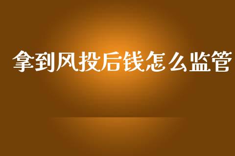 拿到风投后钱怎么监管_https://www.apanben.com_国际财经_第1张