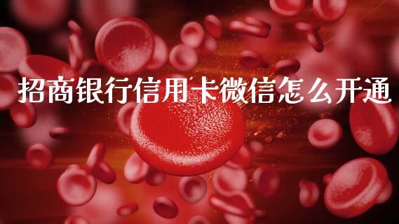 招商银行信用卡微信怎么开通_https://www.apanben.com_股市指导_第1张