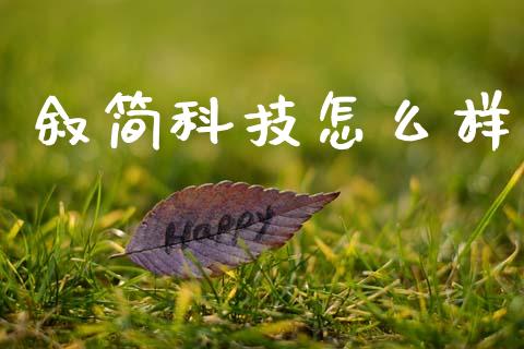 叙简科技怎么样_https://www.apanben.com_在线喊单_第1张