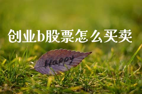 创业b股票怎么买卖_https://www.apanben.com_国际财经_第1张