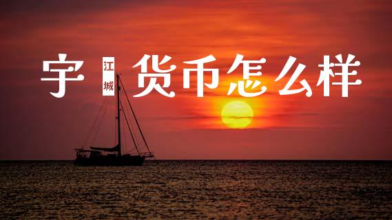 宇鑫货币怎么样_https://www.apanben.com_期货学院_第1张
