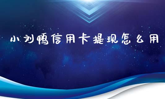 小刘鸭信用卡提现怎么用_https://www.apanben.com_在线喊单_第1张