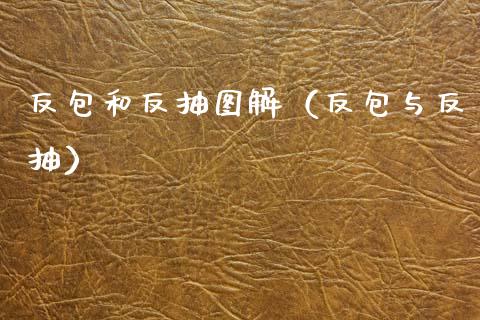 反包和反抽图解（反包与反抽）_https://www.apanben.com_期货学院_第1张