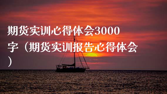 期货实训心得体会3000字（期货实训报告心得体会）_https://www.apanben.com_财经资讯_第1张