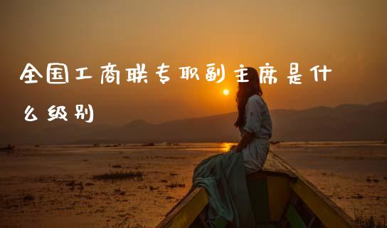 全国工商联专职副主席是什么级别_https://www.apanben.com_在线喊单_第1张