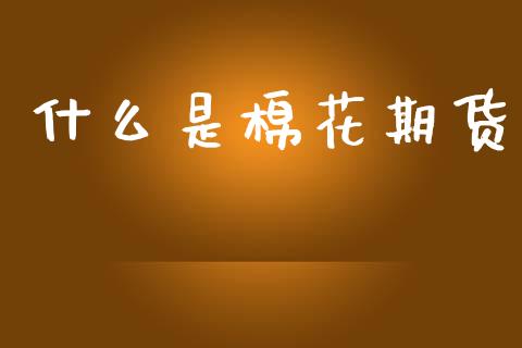 什么是棉花期货_https://www.apanben.com_国际财经_第1张