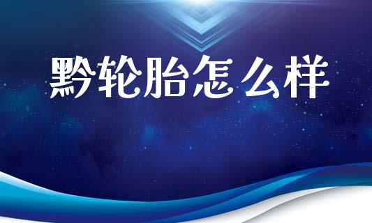黔轮胎怎么样_https://www.apanben.com_国际财经_第1张