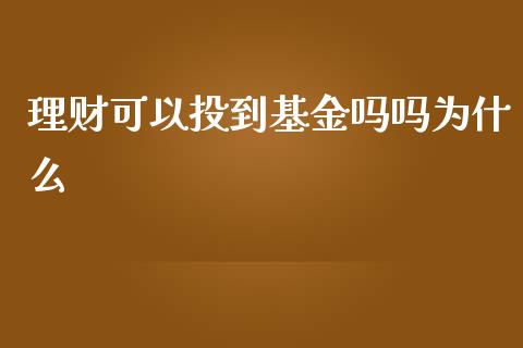 理财可以投到基金吗吗为什么_https://www.apanben.com_财经资讯_第1张