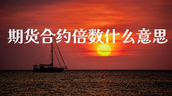 期货合约倍数什么意思_https://www.apanben.com_国际期货_第1张