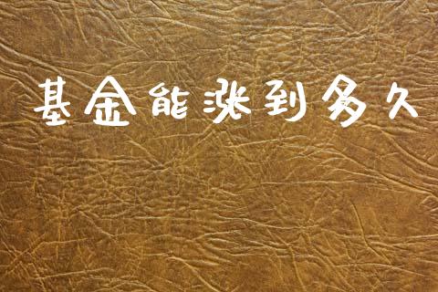 基金能涨到多久_https://www.apanben.com_股票怎么玩_第1张