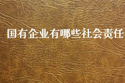 国有企业有哪些社会责任_https://www.apanben.com_国际期货_第1张