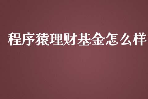 程序猿理财基金怎么样_https://www.apanben.com_财经资讯_第1张