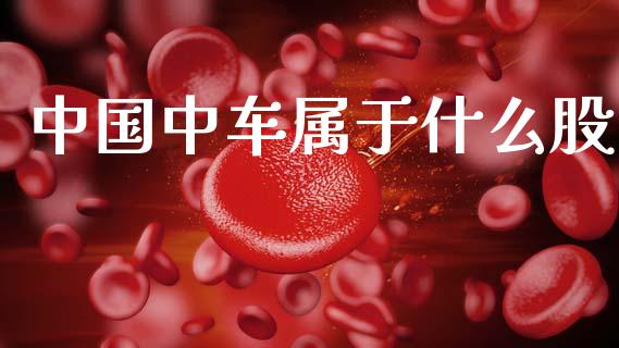 中国中车属于什么股_https://www.apanben.com_期货学院_第1张