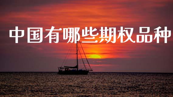 中国有哪些期权品种_https://www.apanben.com_股市分析_第1张