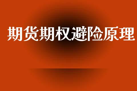 期货期权避险原理_https://www.apanben.com_股市指导_第1张