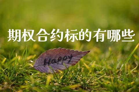 期权合约标的有哪些_https://www.apanben.com_在线喊单_第1张
