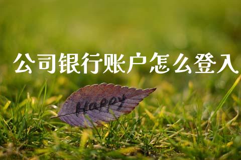 公司银行账户怎么登入_https://www.apanben.com_国际财经_第1张