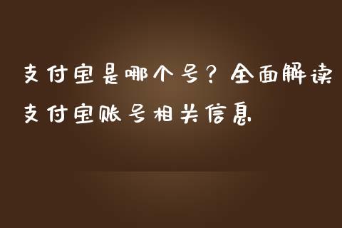支付宝是哪个号？全面解读支付宝账号相关信息_https://www.apanben.com_股市指导_第1张