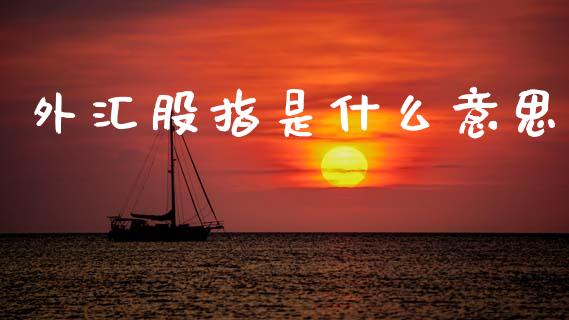外汇股指是什么意思_https://www.apanben.com_国际财经_第1张